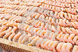 Dried Shrimp