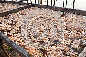 Dried shrimp