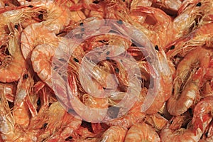 Dried shrimp for foods