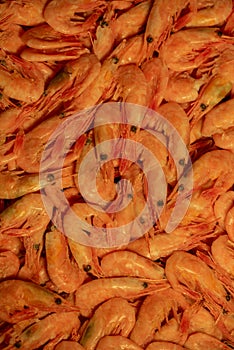 Dried shrimp. Shrimps dry freeze. Food photography