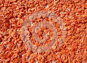 Dried shrimp