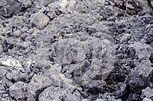 Dried silt. Gray granular material dried by the hot summer sun.