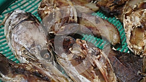 Dried slices of snake-head fish are laid out on plastic trays to dry in the sun.