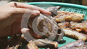 Dried slices of snake-head fish are laid out on plastic trays to dry in the sun.