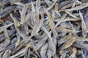 Dried Small fish Background