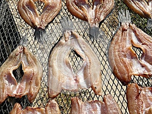 dried snake head fish in the market