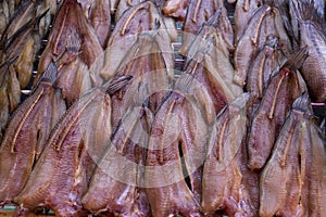 Dried Snakehead Fish, focus selective