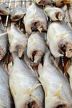 Dried Sodier croaker fish (Boesemania microlepis)