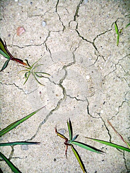 Dried soil