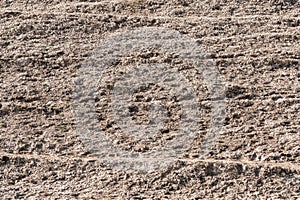 Dried soil after drought background