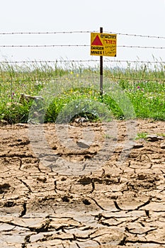 Dried soil and flowered minefield