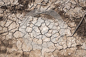 Dried soil and mud cracks