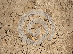 Dried soil texture, cracked sand backdrop, global warming