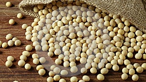 Dried soy beans in a burlap bag close up