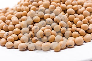 Dried soy beans on white background