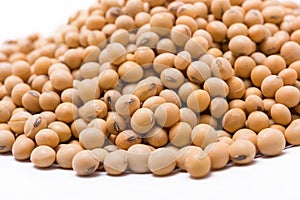 Dried soy beans on white background