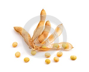 Dried Soy pods with seeds. Isplated on white background.