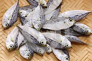 Dried spotnape ponyfish, Japanese delicacy food