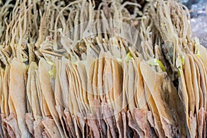 Dried squid on display for sale at seaside fish market