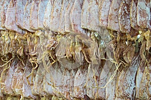 Dried squid for grilling