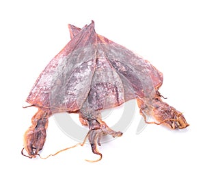 Dried squid an isolated on white background