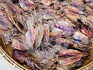 Dried squid for sale