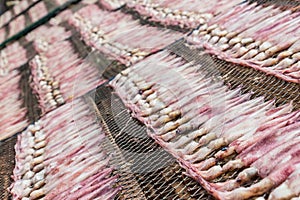 Dried Squid in Thailand.