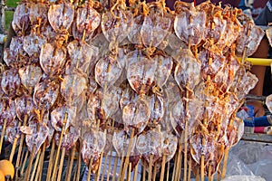 Dried squid, traditional squids drying in Grilled squid in Thailand market