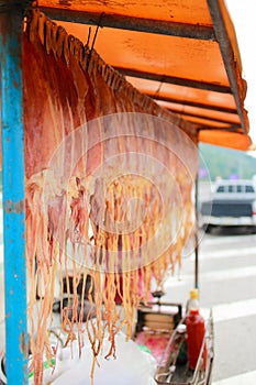 Dried squids