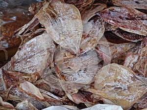 Dried squids in local market