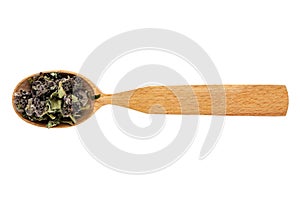 Dried Stachys officinalis or betony in a wooden spoon on a white background. The view from the top