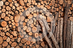 Dried and stacked firewood in a shed