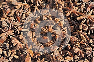 Dried star anise seed