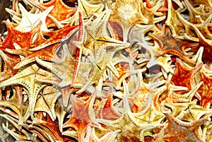 Dried starfish, used for medical and health care purposes in China photo