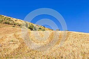 Dried straw and dried yellow grass in meadow on slope of the mountain