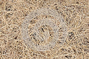 Dried straw over soil