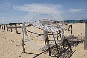 Dried sun fish for food preserves on wire sieve at outdoor of Boynton Beach and village in Narathiwat, Thailand