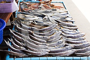 Dried sun fish for food preserves on wire sieve at outdoor for sale customer in local market shop of Ban Bang Krachao fishing