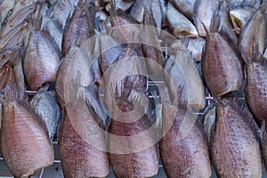 Dried sun gourami fish, focus selective