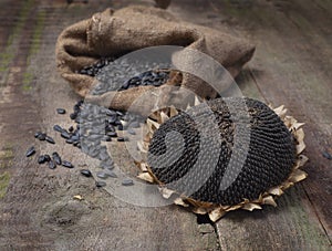 Dried Sunflower and seeds in burlap bag