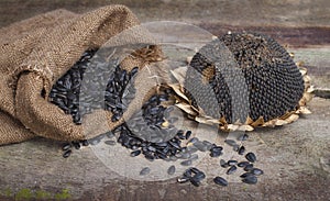 Dried Sunflower and seeds in burlap bag on wooden background