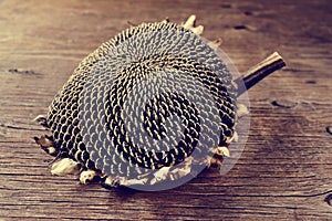 Dried sunflower on a wooden surface