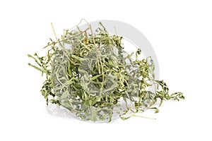 dried tarragon stalks on a white background