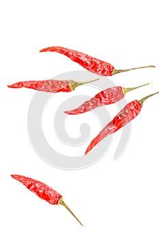 Dried thai chili peppers isolated on a white background with copyspace