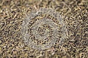 Dried Thyme (background image)
