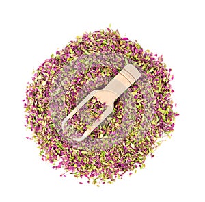 Dried thyme flowers, isolated on white background. Natural herbs - thyme. Organic tea. Top view. Close up