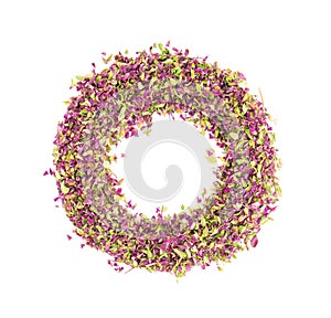 Dried thyme flowers, isolated on white background. Natural herbs - thyme. Organic tea. Top view. Close up