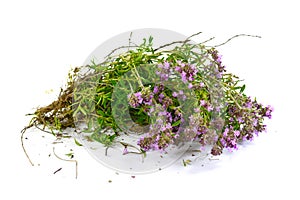 Dried thyme tea on a white background. Flowers of thyme in nature. The thyme is commonly used in cookery and in herbal medicine.