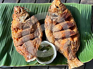 dried tilapia fis on dish photo