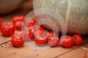 Dried tomatoes, autumn vegetables, harvest, autumn vegetables